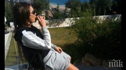 нов бизнес цеци красимирова дипли здрави пачки торове трева