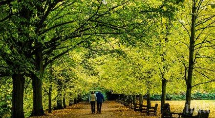 перфектното физическо упражнение просто