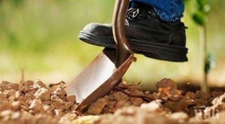 шок намериха мумия годишно момиченце