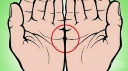 съберете дланите видите линиите сърцето съвпадат…