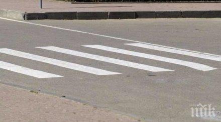 шубе блъсна майка дете зебра избяга