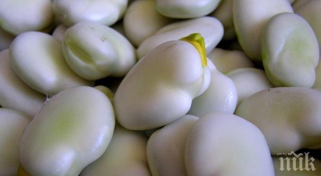 В Смолянско се готвят за бобен фест