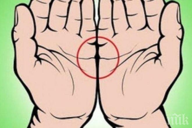 СЪБЕРЕТЕ ДЛАНИТЕ СИ! Ако видите, че линиите на сърцето съвпадат…