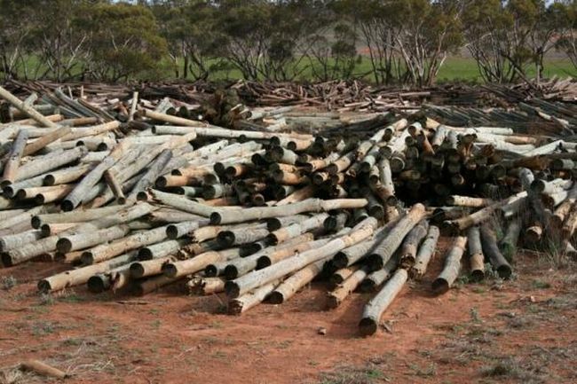 Селянин преби съсед с дървен кол