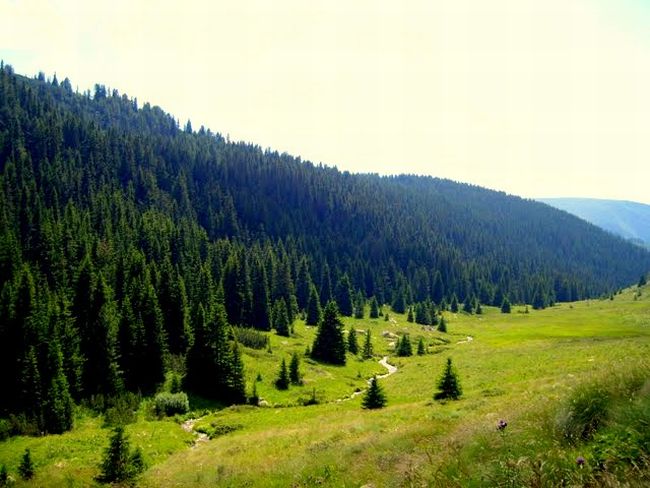 Отнемат коли, нахлули в резервати