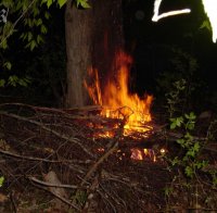 Пожар опустоши 50 декара гора в Банско 