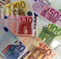 Над 75% от чехите против въвеждане на еврото 