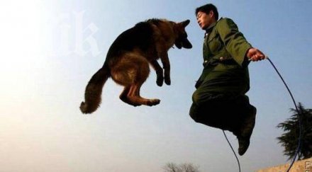 скачането въже убива апетита