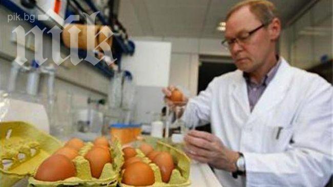 Агенцията по храните спира търговията с полски яйца без етикет 