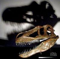 Уникален динозавър хвърли в шах учените