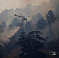 Близо 200 доброволци се включиха в гасенето на голям горски пожар в Бразилия