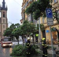Първи жертви на бурите в Централна Европа