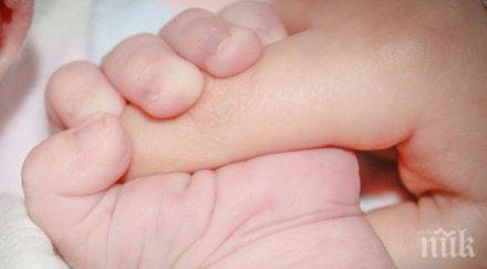 000 български семейства кандидатствали инвитро процедури началото годината