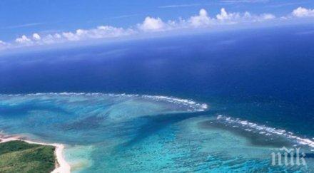 спасиха американки две кучета яхта месеца открито море