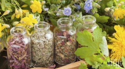 сила здравето ефикасните бабини рецепти грип настинка