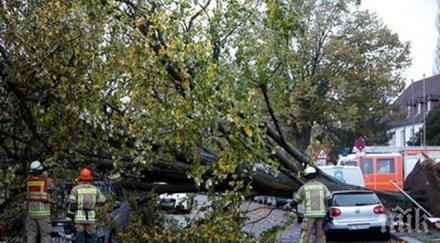 петима загинали заради бурните ветрове европа