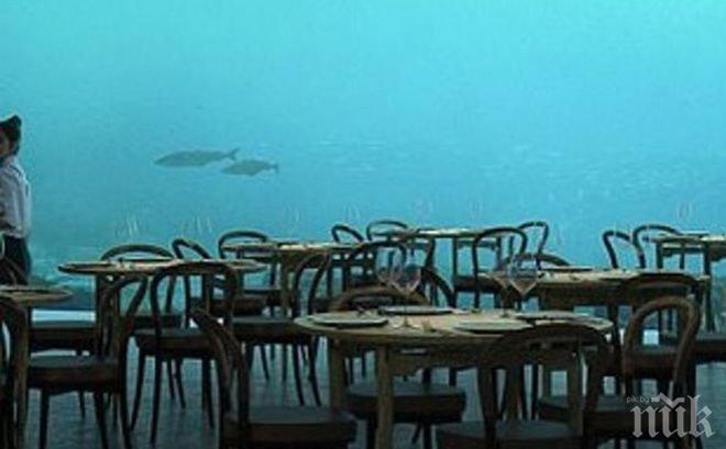 Отварят първия подводен ресторант в Европа