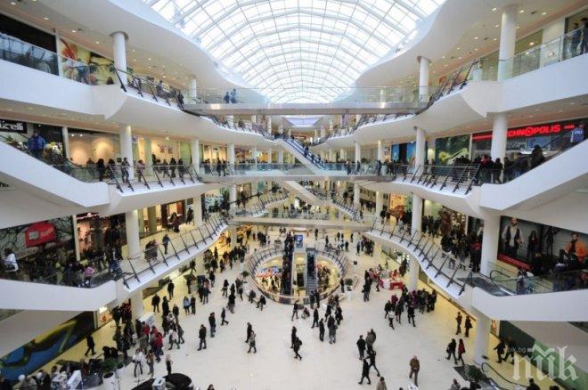 ВАЖНО! Шокиращи факти за моловете, които не знаете