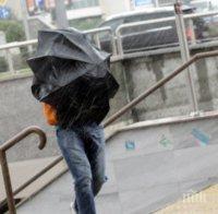 БЕДСТВИЕ! Силният вятър остави хасковско село без ток