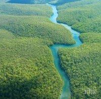 Щастлива развръзка! В бразилските джунгли откриха американско семейство, изчезнало след нападение на пирати  по Амазонка