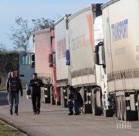 важно опашки тирове вият капитан андреево лесово