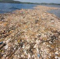 УЖАСЯВАЩО! Карибско море покрито с боклуци (ВИДЕО/СНИМКИ)
