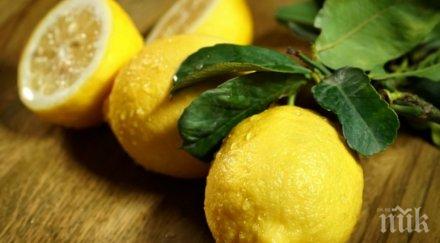 чудо експерт съветва един лимон болките гърлото изчезват