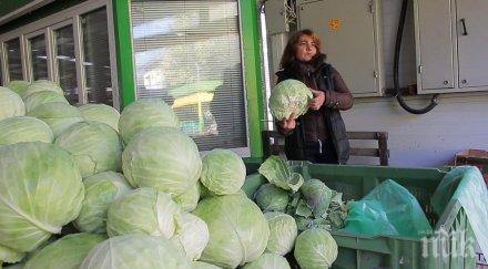 гореща тема убият ниските цени българското зеле
