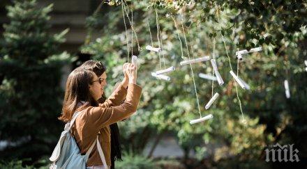 мистериозна акция стартира тазгодишният филмов фестивал киномания снимки видео