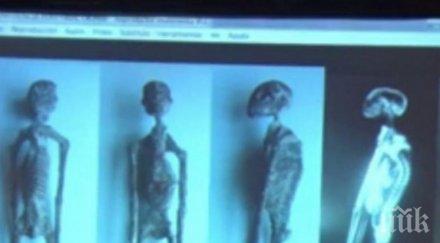 пълен шаш перу откриха телата пришълци