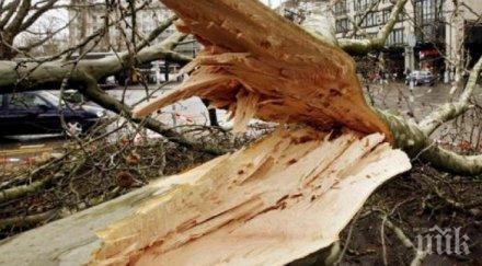 ураганният вятър уби дете турция