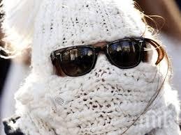 учени разкриха кое смъртоносно кучешкият студ лятната жега