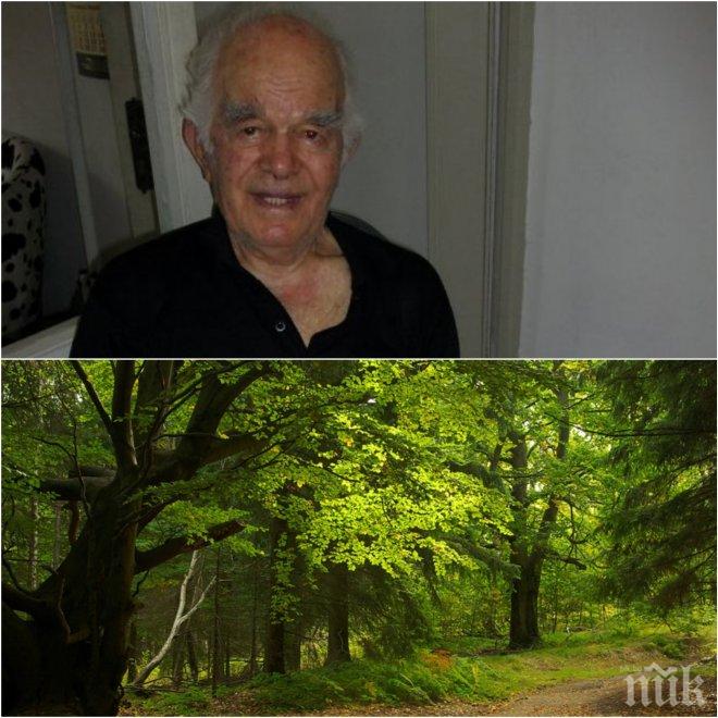 САГА! Ето как мотаха дядо Митко, за да не продаде гората си на държавата
