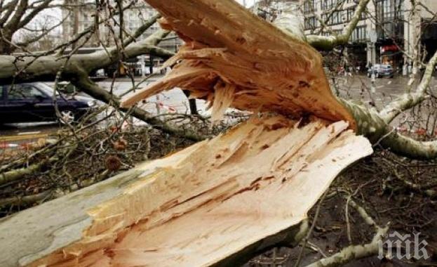 Ураганният вятър уби дете в Турция