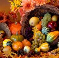 ПОЛЕЗНО! Есенните храни, които помагат за отслабване и ви правят щастливи