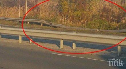 годишната рая хвърли колата блато папур пътя бургас сарафово