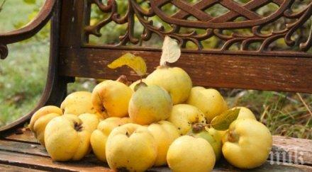 внимание дюлята гони мрачните мисли