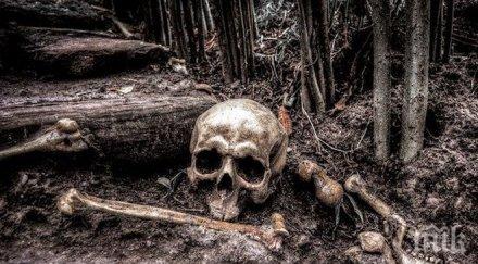 ужасяваща находка откриха човешки кости полски тръмбеш