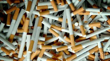 цирк полицаи щурмуваха къща възрастна жена иззеха кутии цигари без бандерол