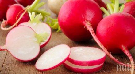 полезно слънчоглед репички влияят добре щитовидната жлеза