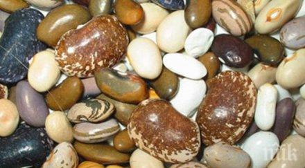 гаф туристическото министерство вбеси жителите смолянското село смилян