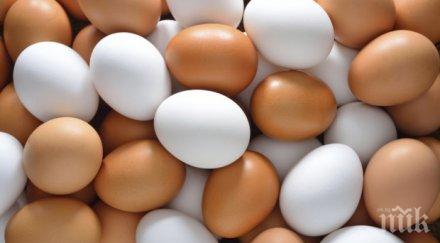 яйцата станаха златни цената стигна стотинки бройка