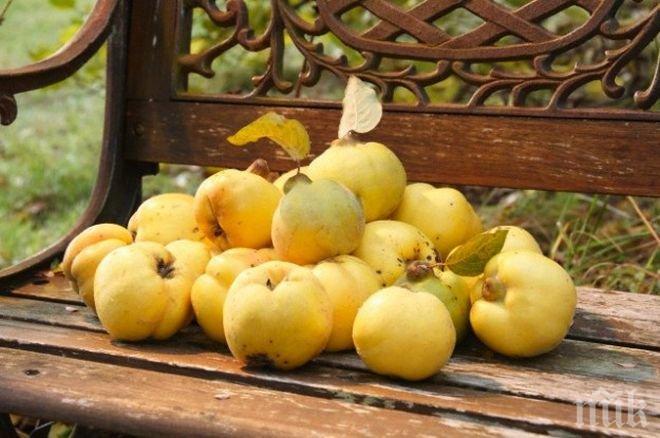 ВНИМАНИЕ! Дюлята гони мрачните мисли