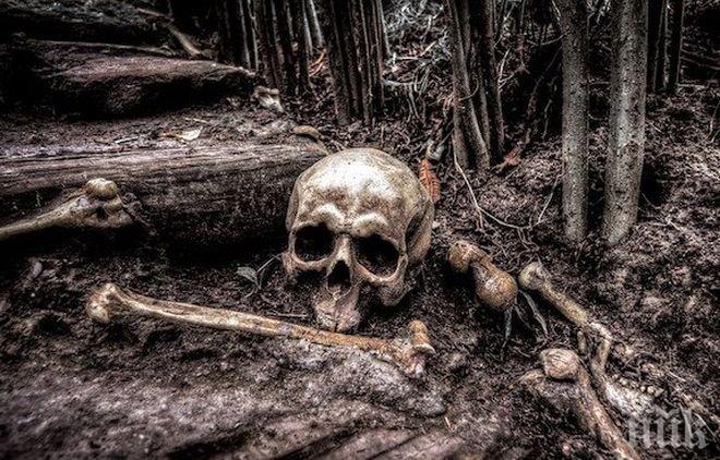 Ужасяваща находка! Откриха човешки кости край Полски Тръмбеш