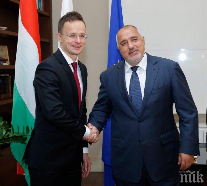 Борисов обсъди европредседателството с външния министър на Унгария (СНИМКИ)