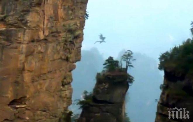 НЕЧУВАНО! Снимаха дракон в небето над Китай (ВИДЕО)