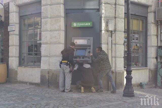 УНИКУМ! Мечка изтегли пари от банкомат в Капана