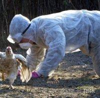 КРАЙНА МЯРКА! Изтребиха 70 000 птици край Стралджа заради птичи грип