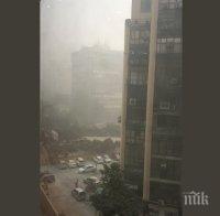 Паника в Делхи! Жителите се събудиха в сиво одеало от смог (СНИМКА)