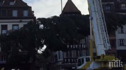 гаф коледната елха страсбург рухна видео